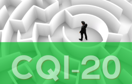 CQI-20 KILAVUZU EĞİTİMİ - ETKİLİ PROBLEM ÇÖZME CQI-10 / CQI-20 / CQI21